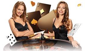 19bet com